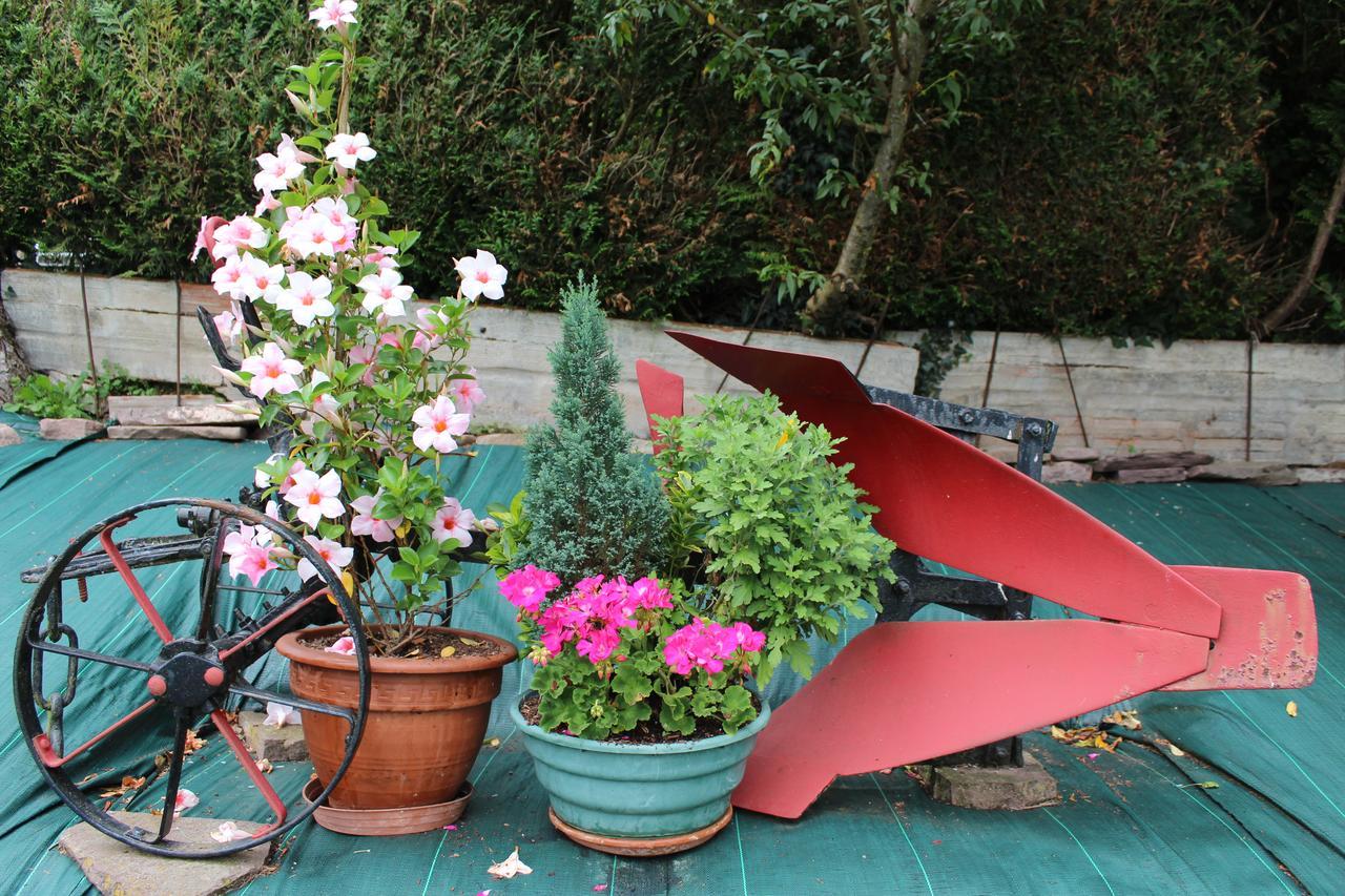 Apartamento Rural Oizalde Elizondo Extérieur photo